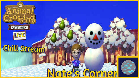 Day 2 in Concord | Animal Crossing: City Folk