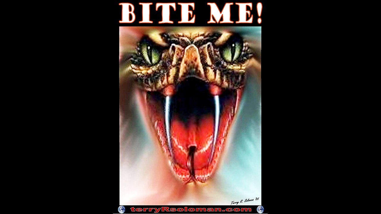 33125 Terry Reports_ Tarrifffffssss-Teslassss and a Ssssssnake!