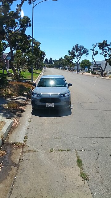 license plate of senile drac that assaulted humans