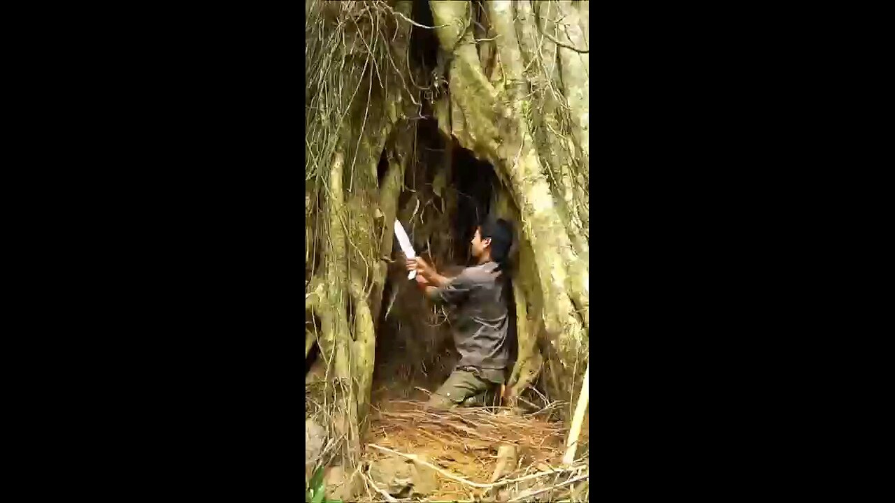 Young man created a safe house in forest
