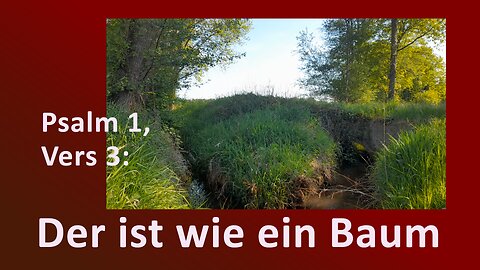Psalm 1, Vers 3: „Der ist wie ein Baum, gepflanzt an den Wasserbächen, der seine Frucht bringt zu...