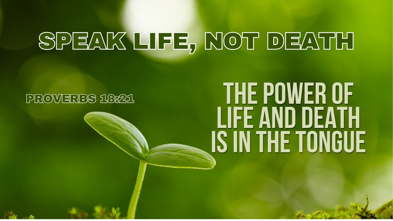 Speak Life: Breaking Negative Patterns with God’s Word