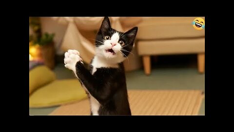 Funny Dogs And Cats Videos 2024 😅- Best Funnies Animal Videos #14