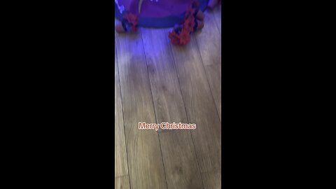 Merry Christmas tree