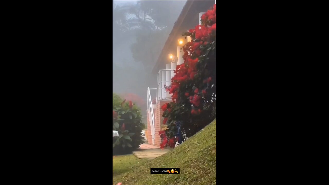 #foryoupage#viralvideo