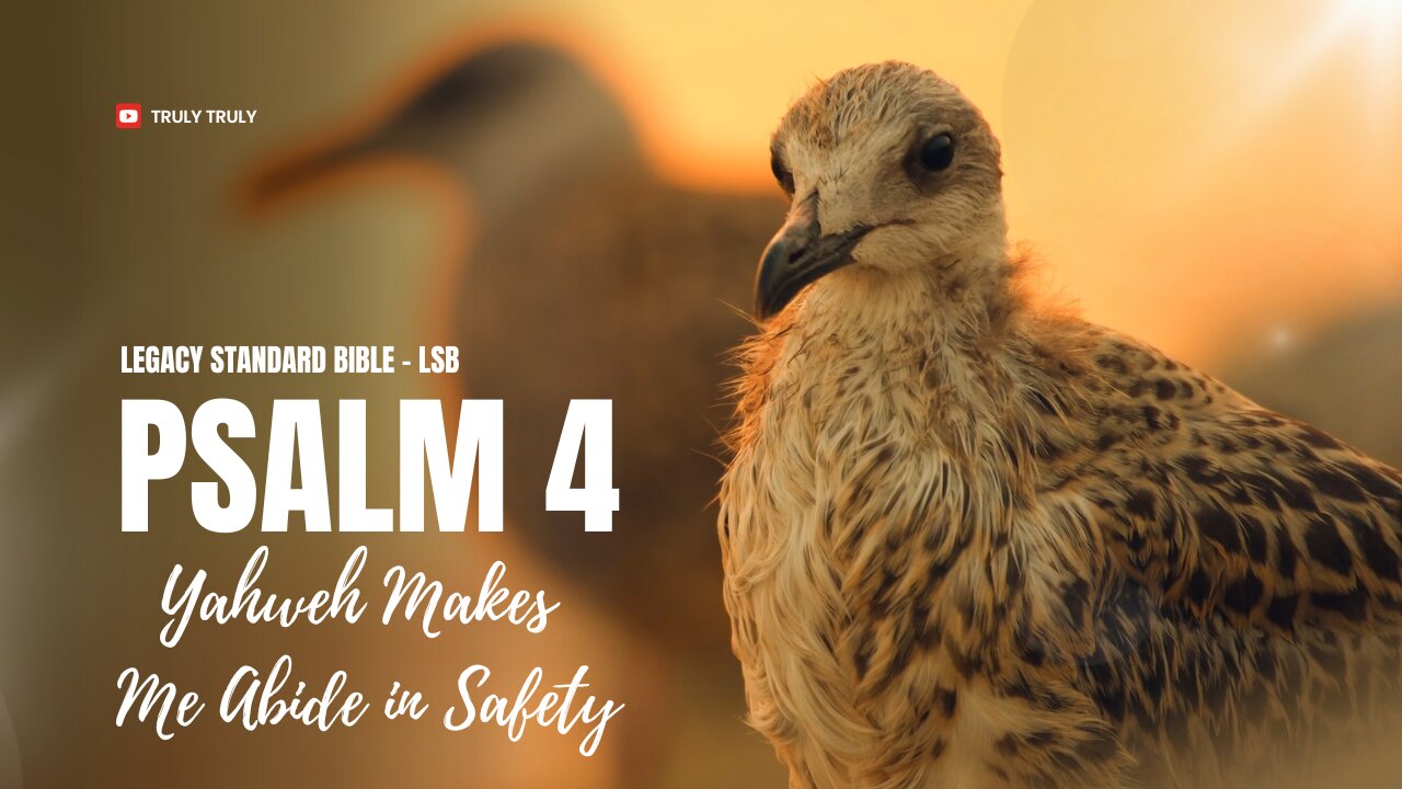 Psalms 4 - Yahweh Makes Me Abide in Safety (LSB) #God #Psalms #prayer