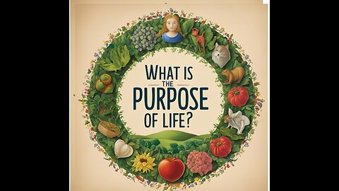 What Is the Purpose of Life?