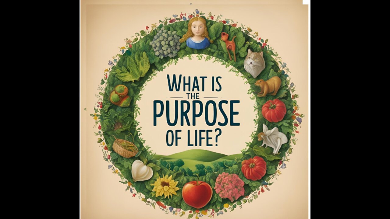 What Is the Purpose of Life?