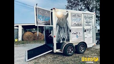 Custom Built - 2023 Mobile Halotherapy Trailer | Pet Care Trailer for Sale in Tennessee!