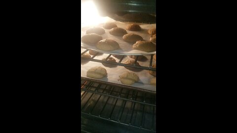 SALTY PEANUT CHOCOLATE CHIP COOKIES