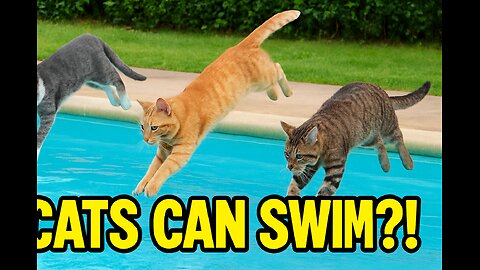 Cats + swimming pool = total chaos 😂🐱💦 You’ve never seen this before!