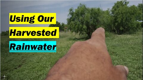 Using Our Harvested Rainwater