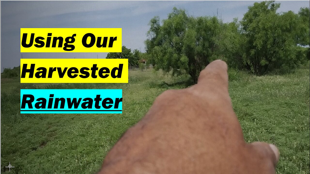Using Our Harvested Rainwater