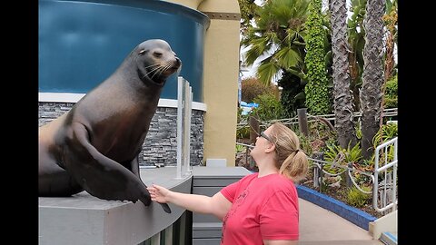 EP 13 Divin into SeaWorld part 1