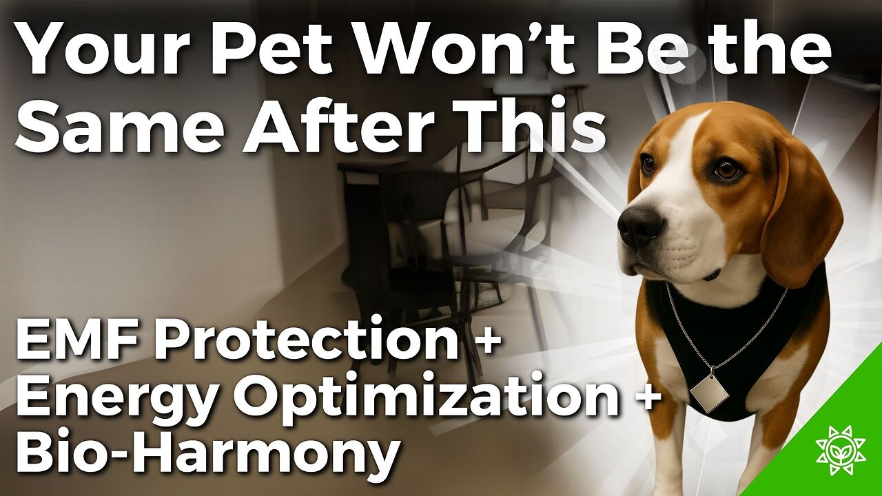 How To Protect Your Pets & Animals From EMF Poison?