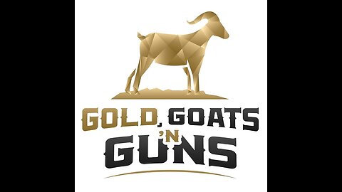 Susan Kokinda and the War for the American System