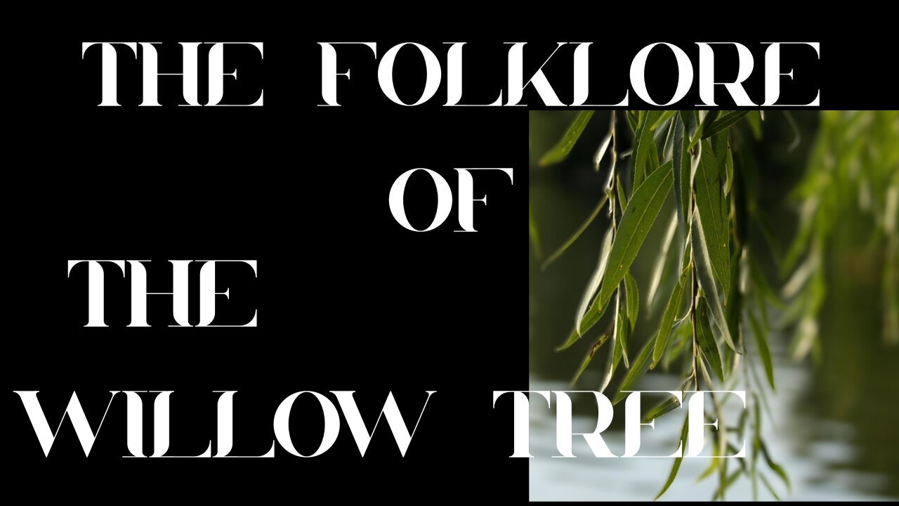 S9 Ep 6 Willow Magic: Legends, Lore & Symbolism