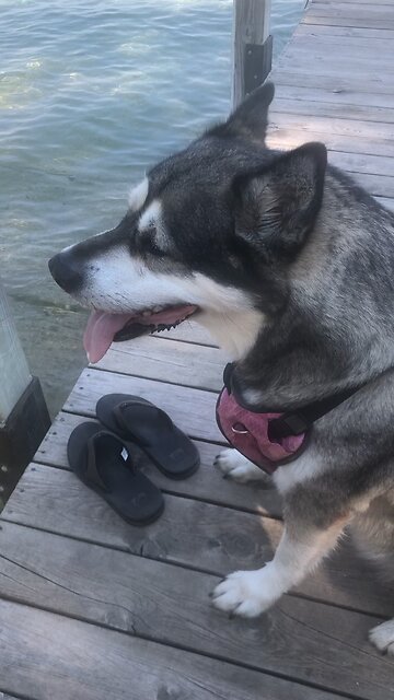 Saturday August 9, He gives power to those who are tired.