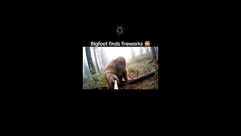 Bigfoot finds fireworks
