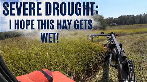 Will this hay get wet?