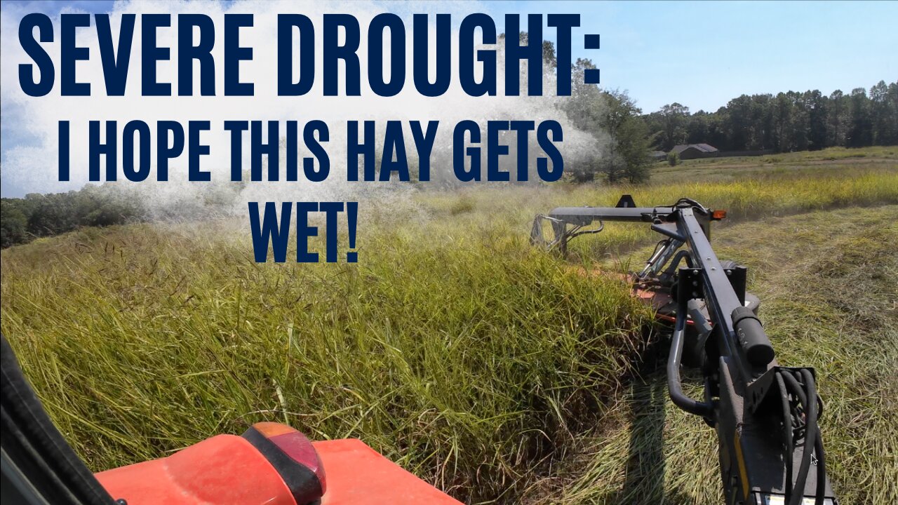 Will this hay get wet?