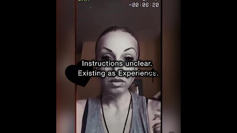 Instructions unclear. Existing as Experience.