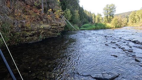 This stream wasn't easy to fish but it was definitely worth the effort!