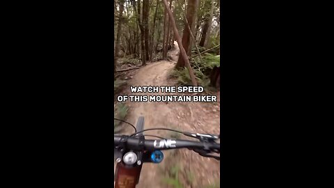 Crazy Fast Mountain biker