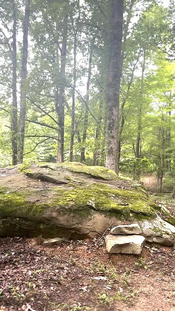 I have returned! We’re back live at 9 PM Eastern