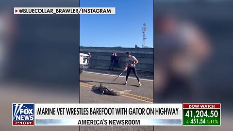 Florida man wrestles alligator on the highway while barefoot: 'CRAZY'