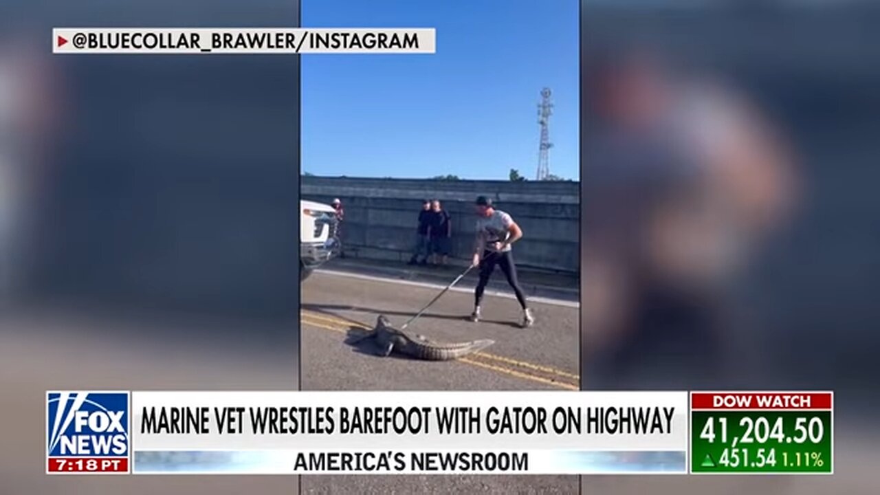 Florida man wrestles alligator on the highway while barefoot: 'CRAZY'