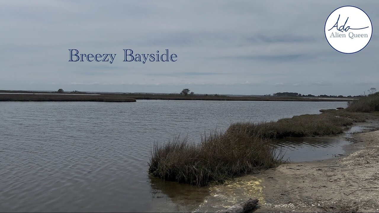 Ada Alien Queen • Ada Walks • Take # 00005 • Breezy Bayside