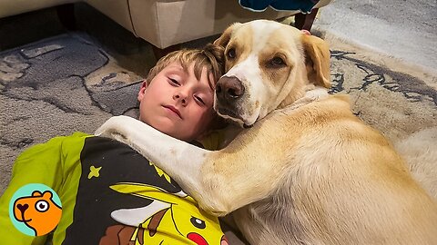 Rescued Dog Never Lets Go Of This Kid Best Friend | Cuddle Buddies