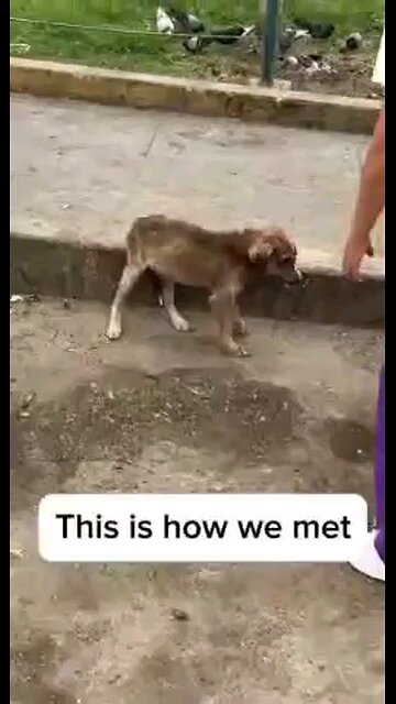 Love All Life Always #154 - 4 Months Of Abandonment Vrs. 9 Days Of Love. Love Wins Always! Always!