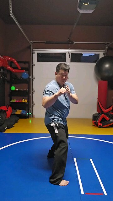 WTD Hand Combination 4, Conditioning Set (Rank 2)