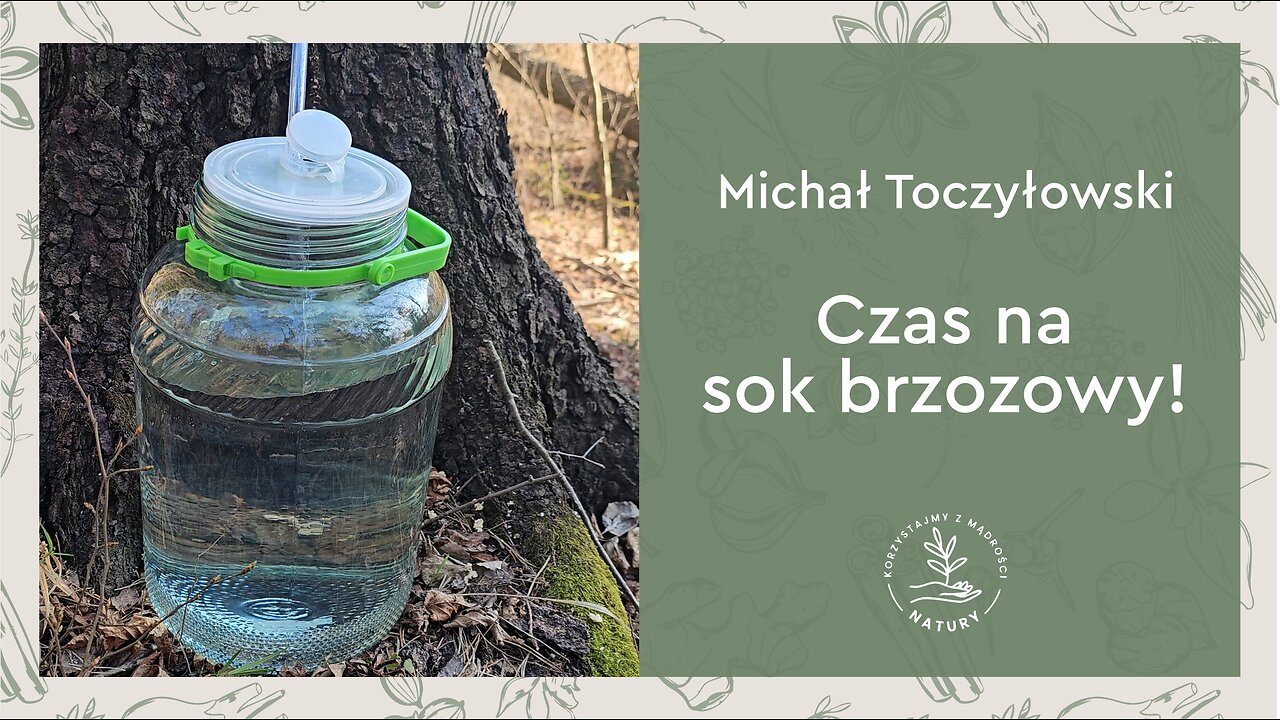 Czas na sok brzozowy!