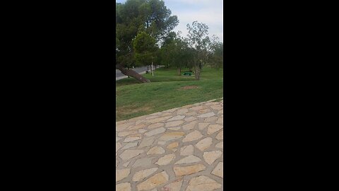 Sunday Morning Walk