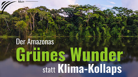 Der Amazonas: Grünes Wunder statt Klima-Kollaps