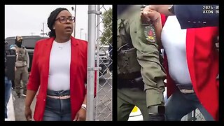 Rep. LaMonica McIver Blames ICE Over Her Felony Charges