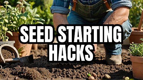 Gardening Hacks: Avoid the 15 Major Seed Starting Mistakes!