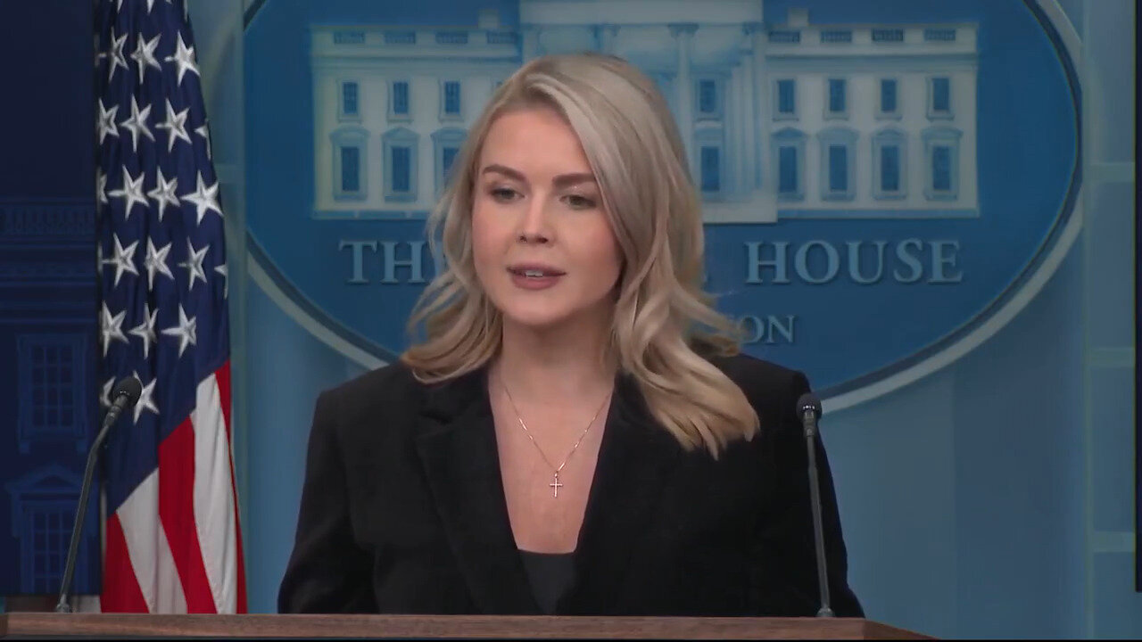 Karoline Leavitt Torches Media For Not Focusing On The REAL Danger With The Dems Seditious Video