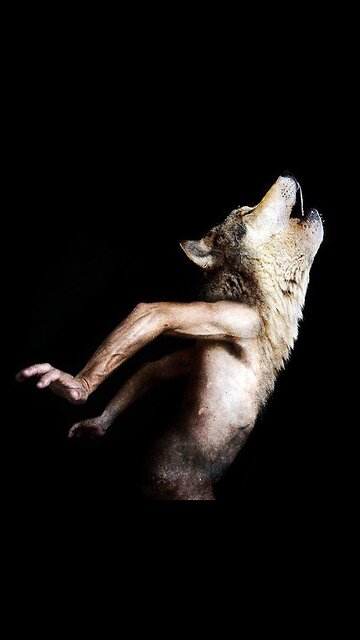 teleportation horror 2087