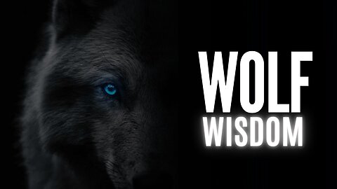 5 Lesson To Learn | Wolf Wisdom | Lone Wolf