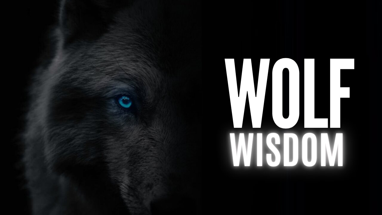 5 Lesson To Learn | Wolf Wisdom | Lone Wolf