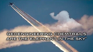 Geoengineering Chemtrails Are the 'Elephant in the Sky'