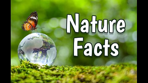 Surprising Nature Facts You Didn't Know!