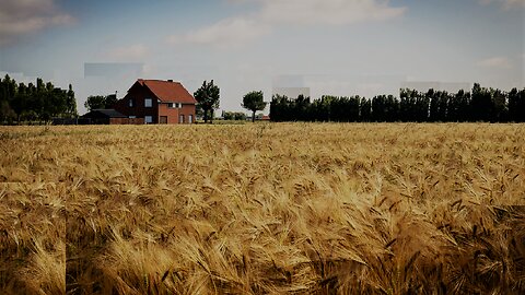 Beer-belly cultivation in Germany, the only sober mechanism is a tank