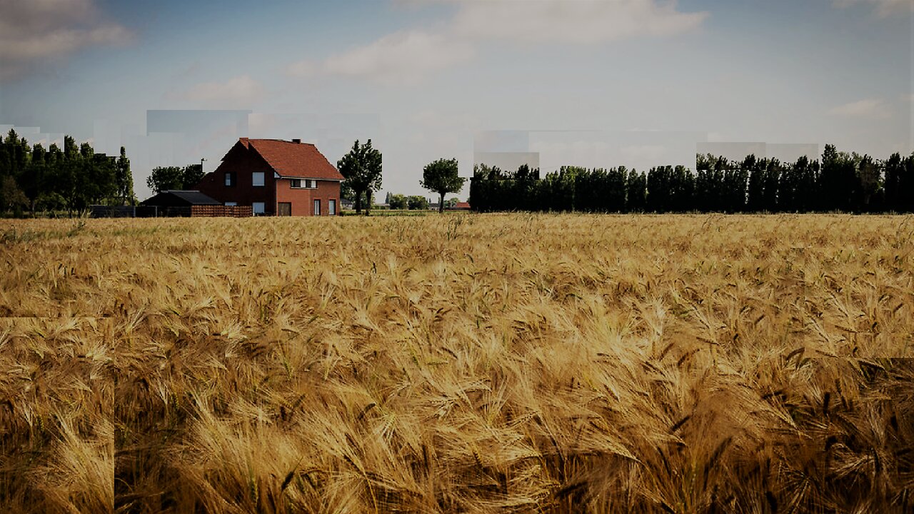 Beer-belly cultivation in Germany, the only sober mechanism is a tank