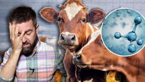 "Reducing Global Warming: World's First Carbon Tax on Livestock Explained"