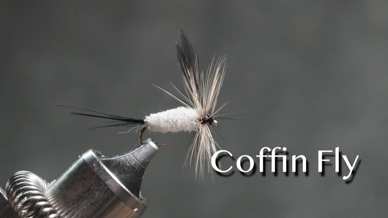 Coffin Fly: Harry Darbee style dry fly pattern
